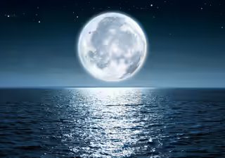 Guru Purnima